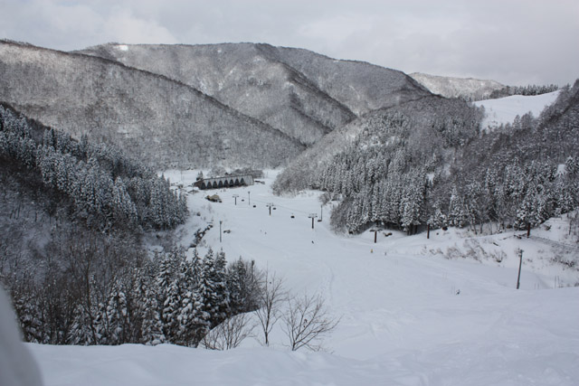 富山県 スノーバレー利賀スキー場　Dコース、１ゲレンデ
